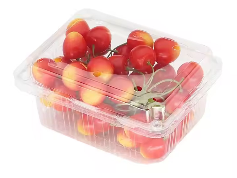 förpackning PET_RPET extruderingsmaskineri-applikation